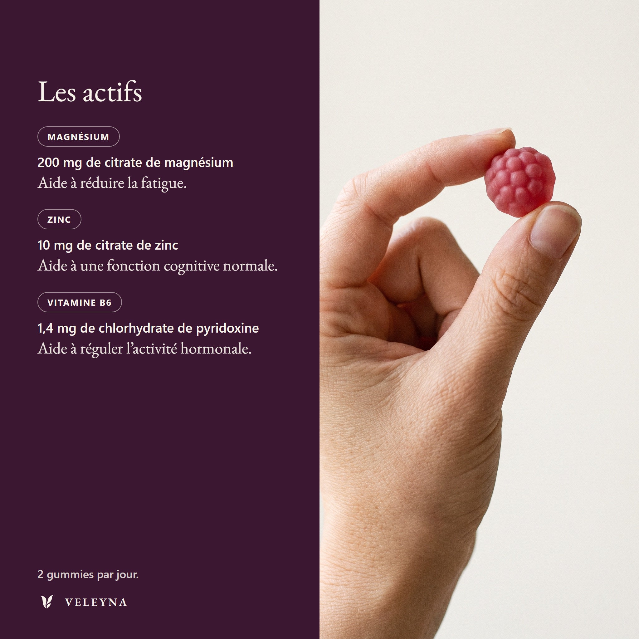 Les trois actifs de DAILY, leur forme chimique et leur dose journalière